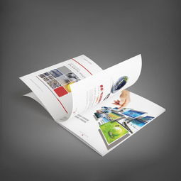 宣傳冊(cè)印刷報(bào)價(jià) 廠家
